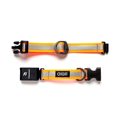 Stunt Puppy Dog Collar, Fi Series 3 Ready, Small, Red - Compatible with Fi GPS Device (Not Included)
