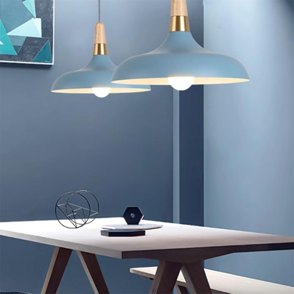 ELEFOCUS Simplicity Pendant Lamps,E27 1-Head Chandelier,Colored Hanging Metal Lampshade,Office Ceiling Lighting Fixture(Color:Black)