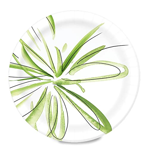 Amazon Basics Everyday Paper Plates, 8.62 Inch, Disposable, 300 Count