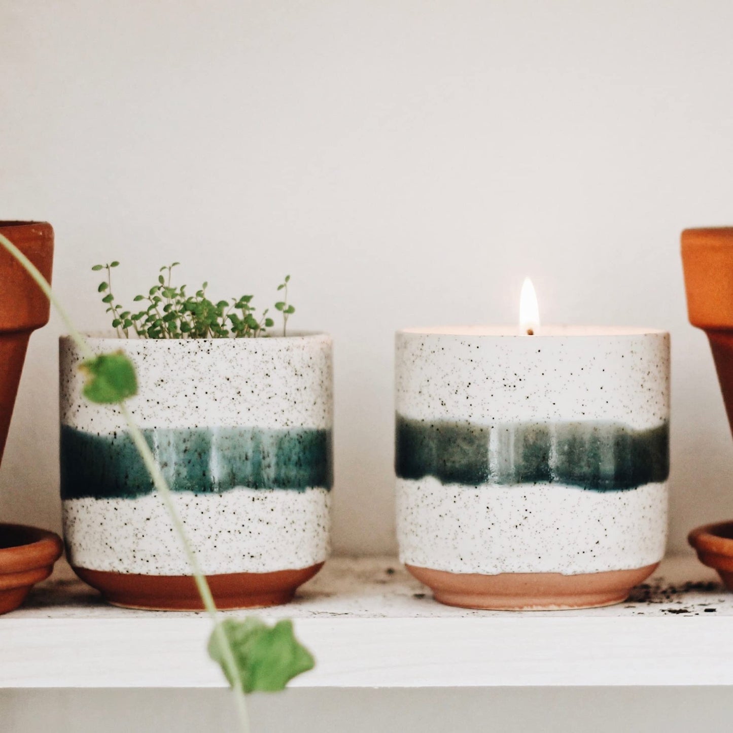 Hyggelight - The Growing Candle, Rosemary & Sage Scent, 8.5oz Ceramic Pot, Single Wick Aromatherapy Candles, 100% Soy for Women and Men, Edith