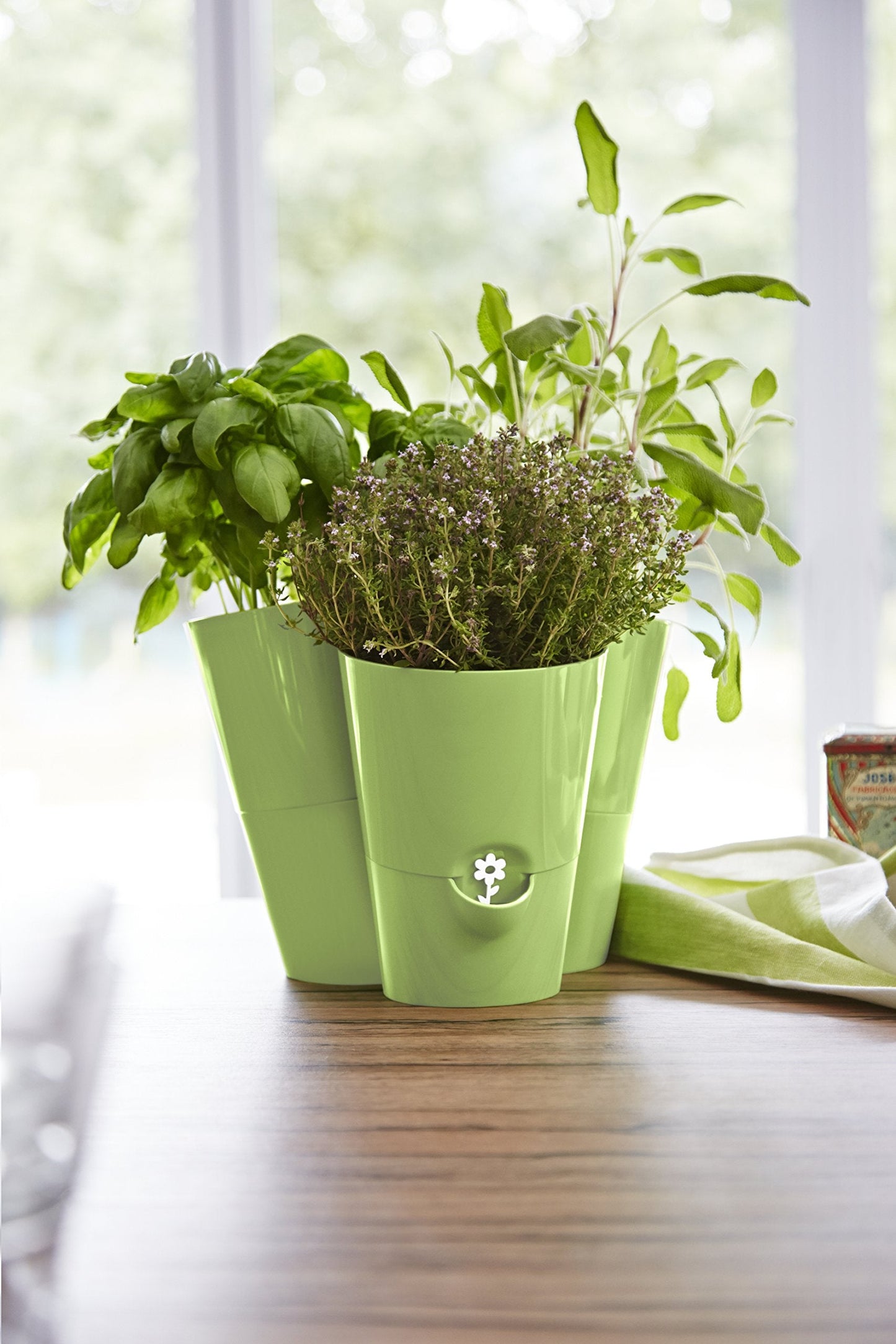 Emsa Trio Herb Pot for Fresh Herbs, Self Watering, Water Level Indicator, 27 x25 x21 cm, Green, Fresh Herbs Trio, 517535