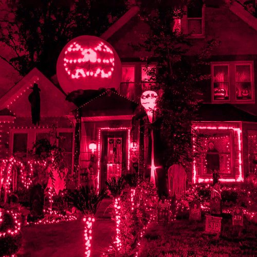 HISHINY LED Red Christmas Net Lights Outdoor,5ftx5ft 100LED Green Wire, Connectable Indoor Outdoor Bush Mesh Net Lights String for Valentines Day Decor,Shrub,Yard,Tree(Red)