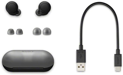 Sony WF-C500 True Wireless Headphones - Up to 20 Hours Battery - Charging case - Voice Assistant Compatible - Built-in mic for Phone Calls - Reliable Bluetooth - Black