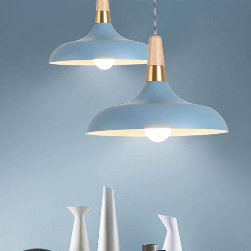 ELEFOCUS Simplicity Pendant Lamps,E27 1-Head Chandelier,Colored Hanging Metal Lampshade,Office Ceiling Lighting Fixture(Color:Black)