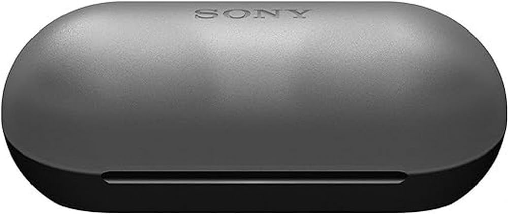 Sony True Wireless Headphones | Up to 20 Hours Battery | Charging Case | Voice A