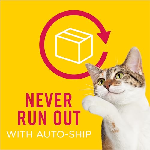 Purina Friskies Dry Cat Food Gravy Swirl'd With Flavors of Chicken, Salmon and Gravy - 3.15 lb. Bag