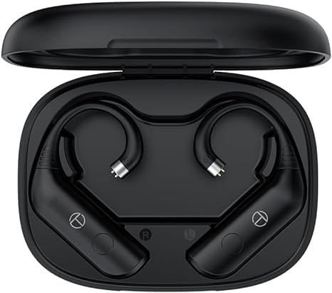 Fanmusic TRN BT20 Pro True Wireless Bluetooth 5.3 Earphone Module Swappable connectors (Headphones not Included) (2pin-S)