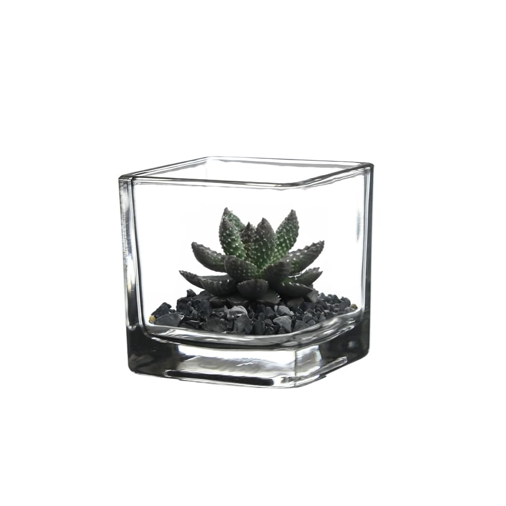 WGVI 6 Pcs Clear Square Glass Tea Light Votive Candle Holders, Width 2", Height 2", Small Cube CandleHolders Container Dish Terrarium Tabletop Ambient Décor