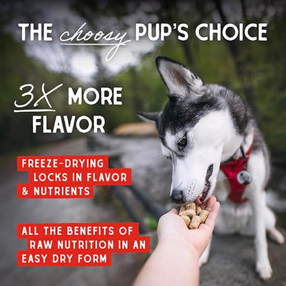 Stella & Chewy's Freeze-Dried Raw Chicken Meal Mixers- Dog Food Topper and Mixer - Made with 95% Cage-Free Chicken, Organs & Bone - Perfect for Picky Eaters - Grain-Free - 1oz