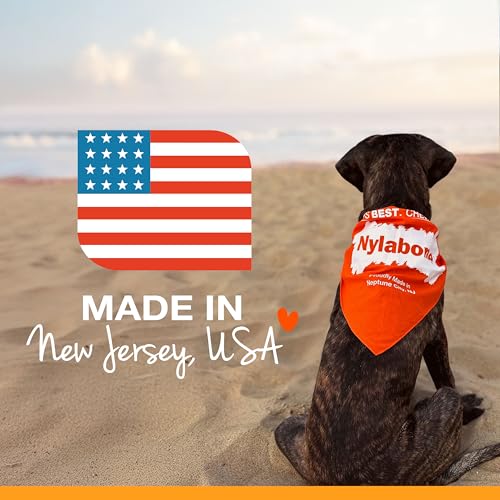 Nylabone Healthy Edibles Natural Dog Chews Long Lasting Roast Beef Flavor Treats for Dogs, Small/Regular (2 Count)