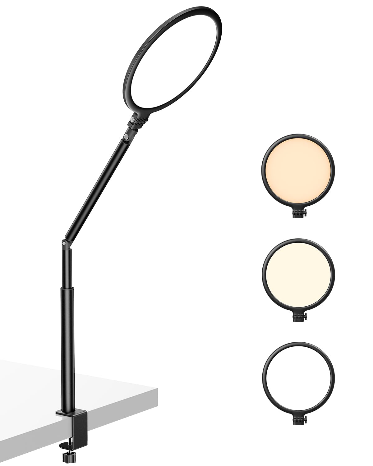 Weilisi 10.2" Desk Ring Light with Stand for Video Call, Ring Light for Desk with Clamp, 360° Rotate & Flexible Height Desk Light, Adjust Arm Desk Lamp for Home Office, Podcast, Gaming, Recording