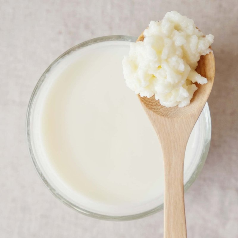 Cultures for Health Milk Kefir Grains | DIY Frothy Dairy Non-GMO Probiotic Drink for Stronger Gut Health | Limitless Heirloom Style Starter | Easy to Flavor or Add to Recipes | Bulgaros De Leche