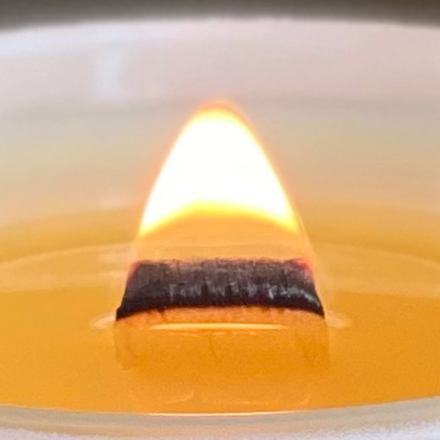 VAVERA Amber Noir Wood Wick Candles that Crackle, 11oz Matte White w/lid, A Sultry Amber Delight Soy Candles. Mothers Day Gifts for Women or Men! Soy, Vegan, Non Toxic. Hand-Crafted in USA.