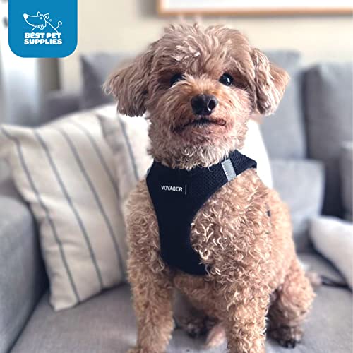 Voyager Step-In Air Dog Harness - All Weather Mesh, Reflective, No Pull Harness for Small, Medium Dogs, Cats - Secure with Hook & Loop Fastener, Buckle, Double D-Rings - Black/Black Trim, S