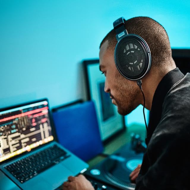 Sennheiser Consumer Audio HD 650 - Audiophile Hi-Res Open Back Dynamic Headphone, Titan
