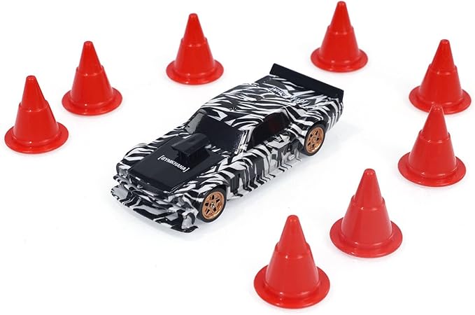 TOUCAN RC HOBBY 1/43 RC Drift Car 4WD RC 2.4g Mini Race Vehicle High Speed Model Radio Control Drift Car Gifts