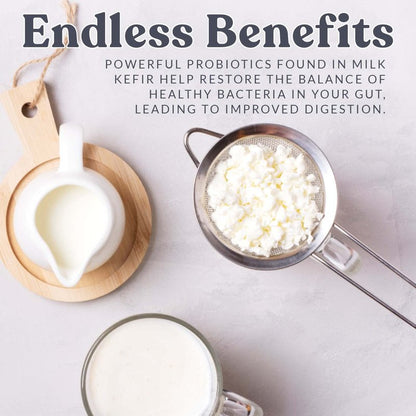 Cultures for Health Milk Kefir Grains | DIY Frothy Dairy Non-GMO Probiotic Drink for Stronger Gut Health | Limitless Heirloom Style Starter | Easy to Flavor or Add to Recipes | Bulgaros De Leche