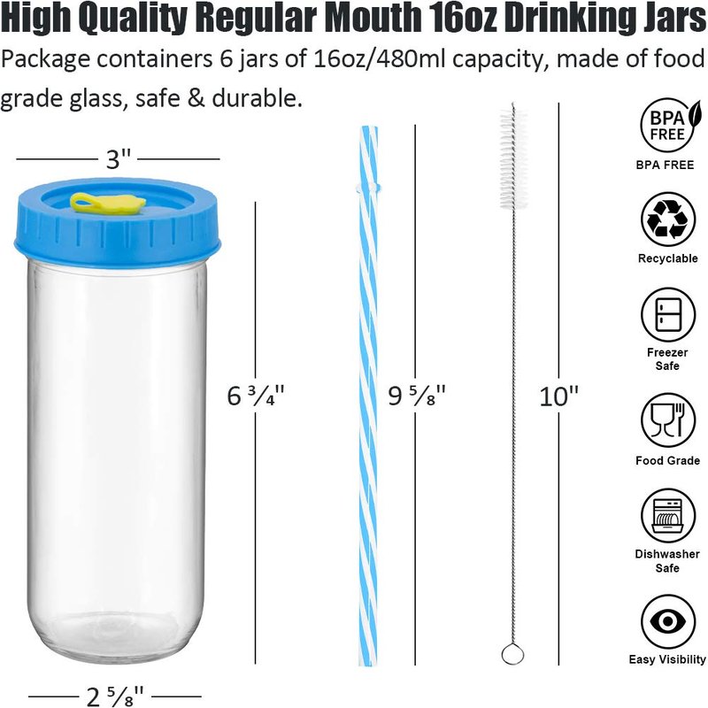 Glass Drinking Bottle Travel Drinking Jars 6 Pack, 16oz Mason Jars Regular Mouth Beverage Bottle with Airtight Lids &Straws, Reusable Water Bottle Skinny Tumbler for Juice/Smoothies,/Kombucha/Tea/Milk
