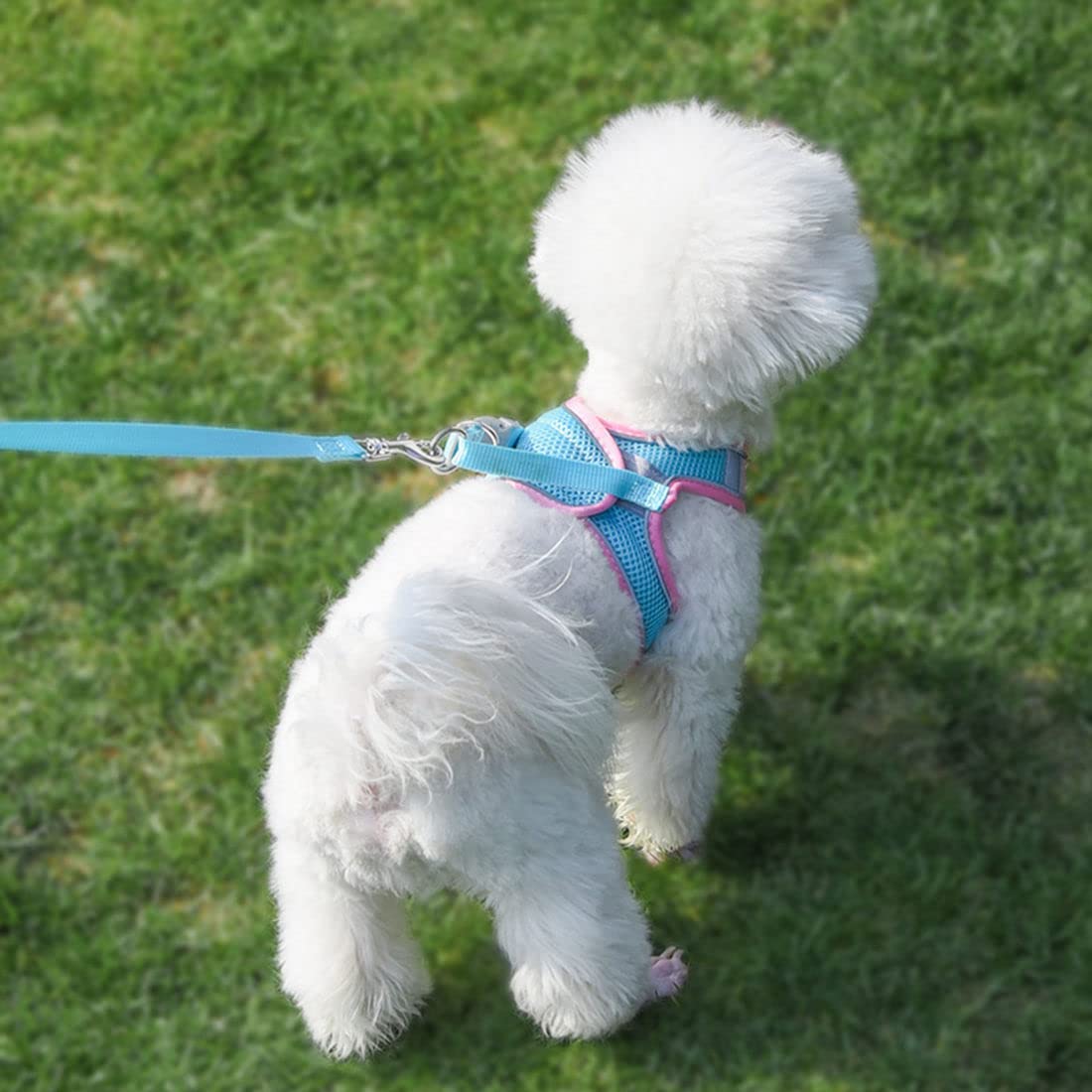Small Dog Harness and Leash Set, No-Pull Puppy Harness for Outdoor Walking, Breathable Mesh Reflective Cats Vest for XXS Xs Small Medium Breed Pet Dogs, Pink S