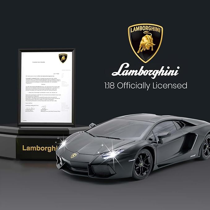 QUN FENG Official Licensed Lamo LP-700 1:18 Scale Remote Control Car for Kids 8-12 Years RC Car with Rechargeable Battery 3.7V 500mAh 2.4GHz Matte Black