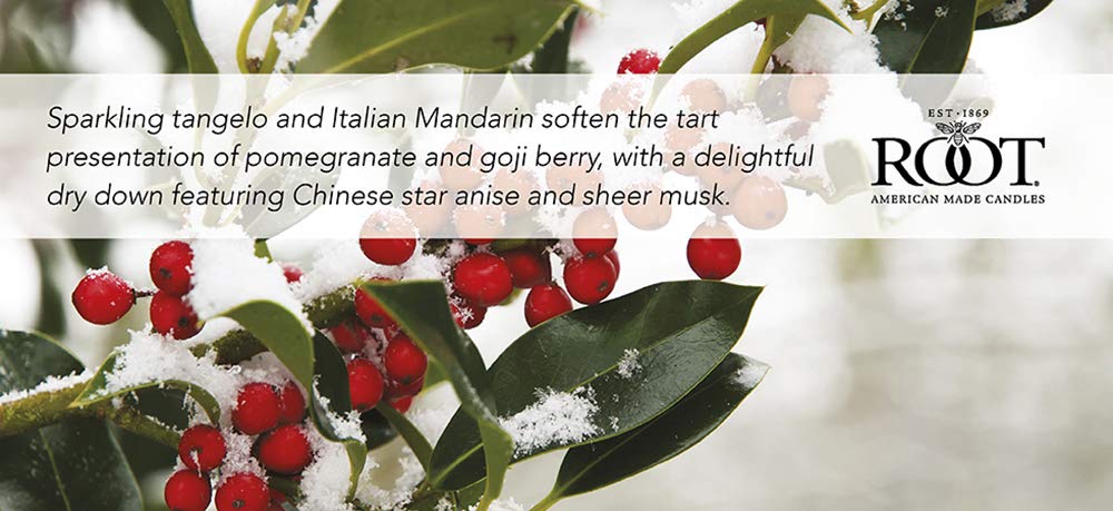 Root Candles 3-Wick Hive Scented Beeswax Blend Candle, 12-Ounce, Hollyberry
