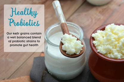 1 TBSP Milk Kefir Grains and eBook "Milk Kefir Unleashed by Thomas Egbert" - Fresh Live Active Probiotic Starter Cultures - Fusion Teas