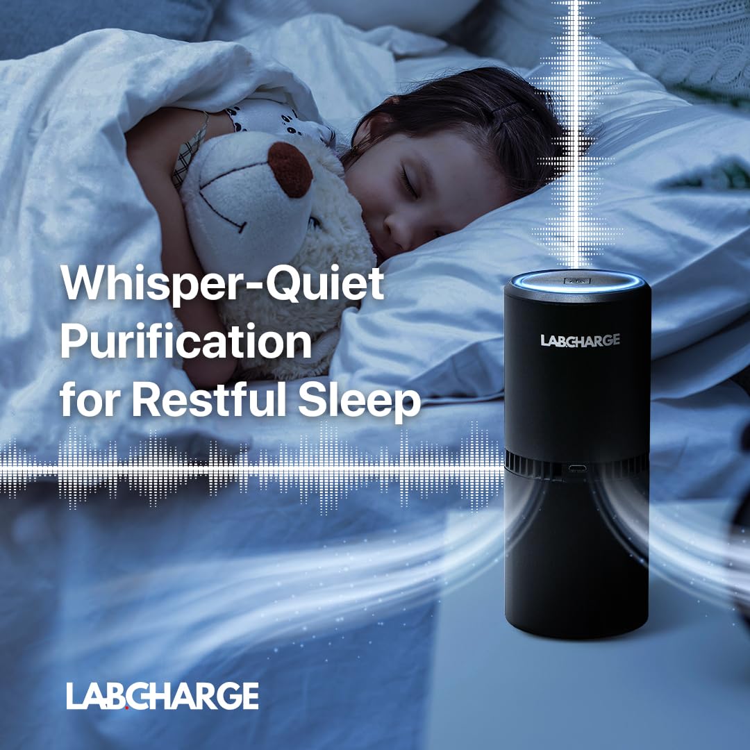 Lab Charge Small Ionic Air Purifier for Home & Bedroom – Silent HEPA Filter – Covers 250 Sq Ft - Free Cleaner – Compact & Black Design - Pack of 4