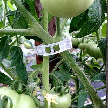 KINGLAKE Plant Support Clips - 200 Pcs Tomato Vine Trellis Clips for Healthy Upright Growth