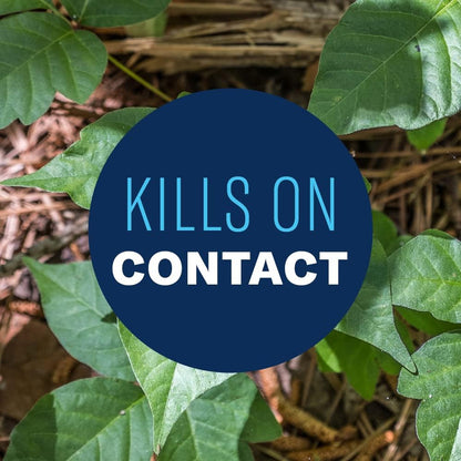 BioAdvanced Brush Killer Plus - Ready-to-Use Weed Killer Spray | 24 oz for Tough Brush & Poison Ivy Control