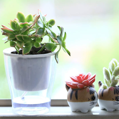 5-Pack 4.3 Inches Clear Self-Watering Planters Small African Violet Pots Plastic Plant Pots Wicking Flower Pots for Indoor Plants, Herbs, African Violet, Ocean Spider Plant, Orchid Pot, Garden Pots