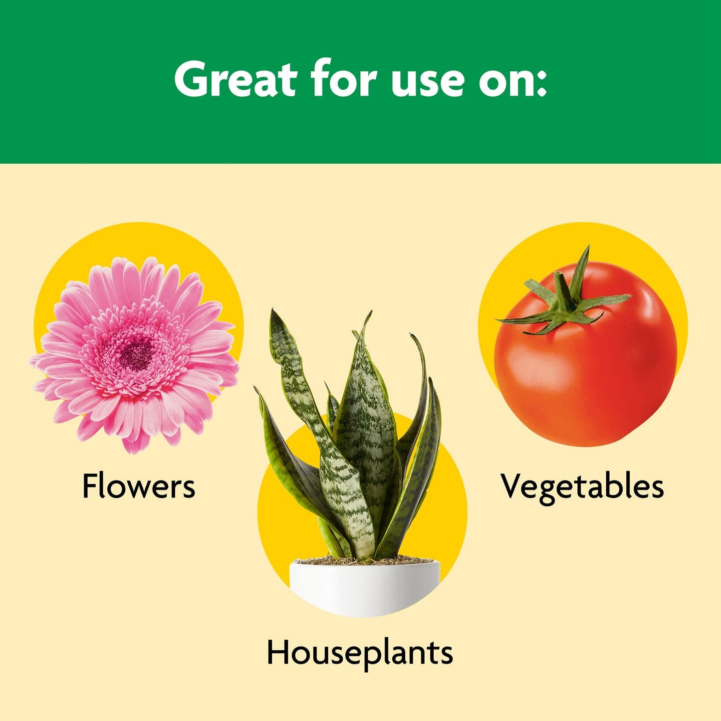 Miracle-Gro Shake 'N Feed All Purpose Plant Food - 8 lbs for Indoor & Outdoor Plants, Feeds for 3 Months
