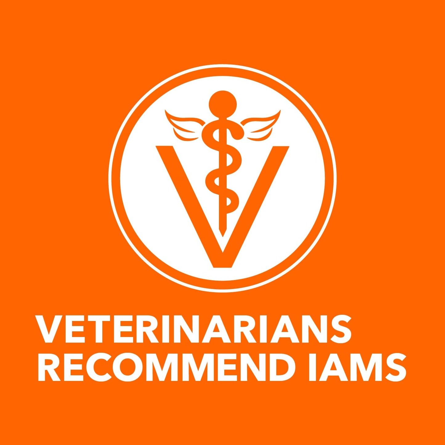 IAMS Proactive Health Adult Healthy Dry Cat Food with Chicken, 3.5 lb. Bag