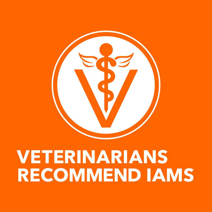 IAMS Proactive Health Adult Healthy Dry Cat Food with Chicken, 3.5 lb. Bag