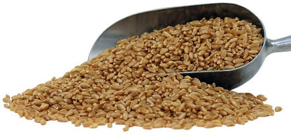 Organic Hard White Wheat Berries