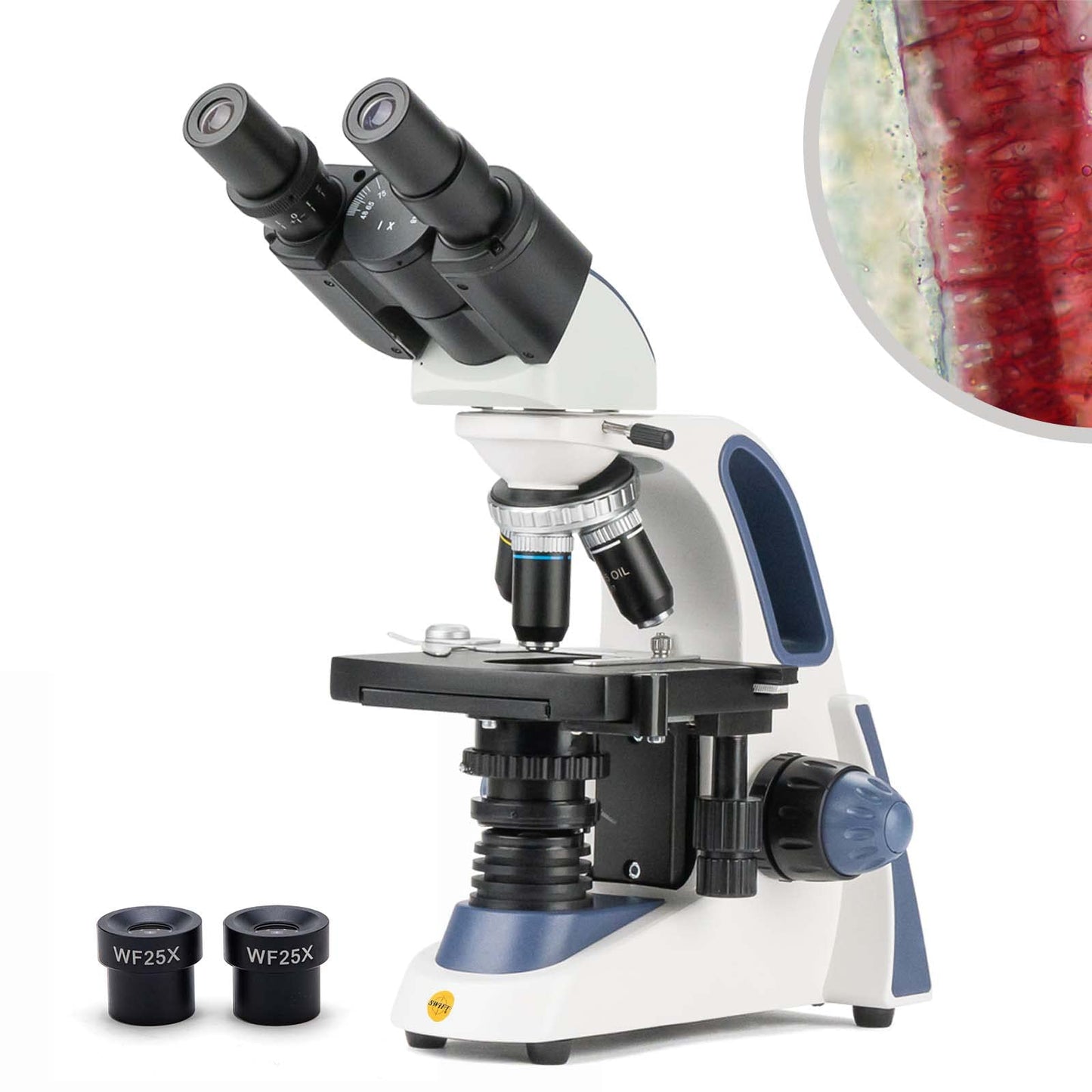 SWIFT SW380B 40X-2500X Magnification, Siedentopf Head, Research-Grade Binocular Compound Lab Microscope with Wide-Field 10X and 25X Eyepieces, Mechanical Stage, Ultra-Precise Focusing