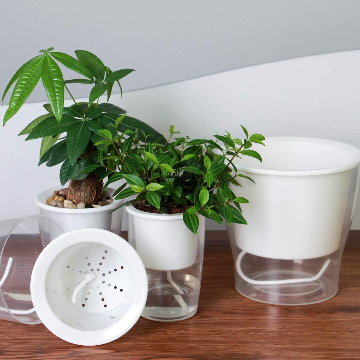 5-Pack 4.3 Inches Clear Self-Watering Planters Small African Violet Pots Plastic Plant Pots Wicking Flower Pots for Indoor Plants, Herbs, African Violet, Ocean Spider Plant, Orchid Pot, Garden Pots