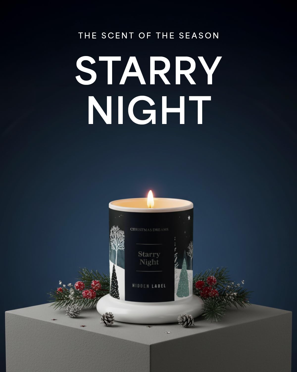 Starry Night Scented Candle, 10oz Natural Soy Wax Clear Bell Jar, 60H Long-Lasting Clean Burn Non Toxic Aromatherapy Candle for Home, Gifts for Women, Family, Holiday