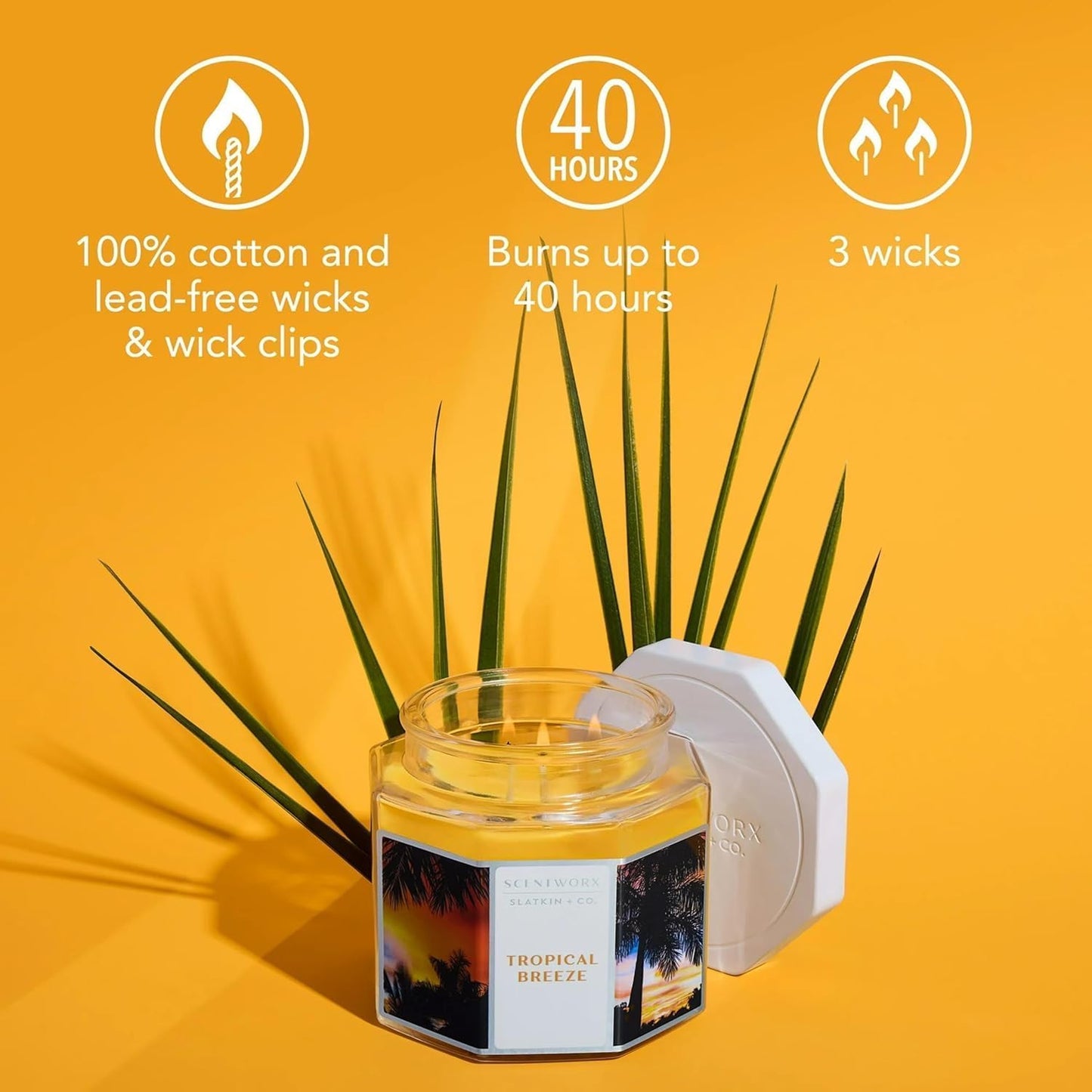 Scent Tropical Breeze Home Fragrance Candle – 14.5 oz 3-Wick Glass Jar