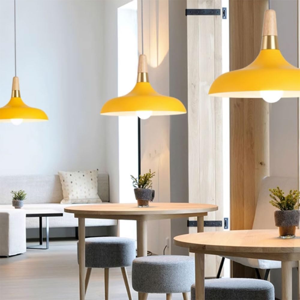 ELEFOCUS Simplicity Pendant Lamps,E27 1-Head Chandelier,Colored Hanging Metal Lampshade,Office Ceiling Lighting Fixture(Color:Black)