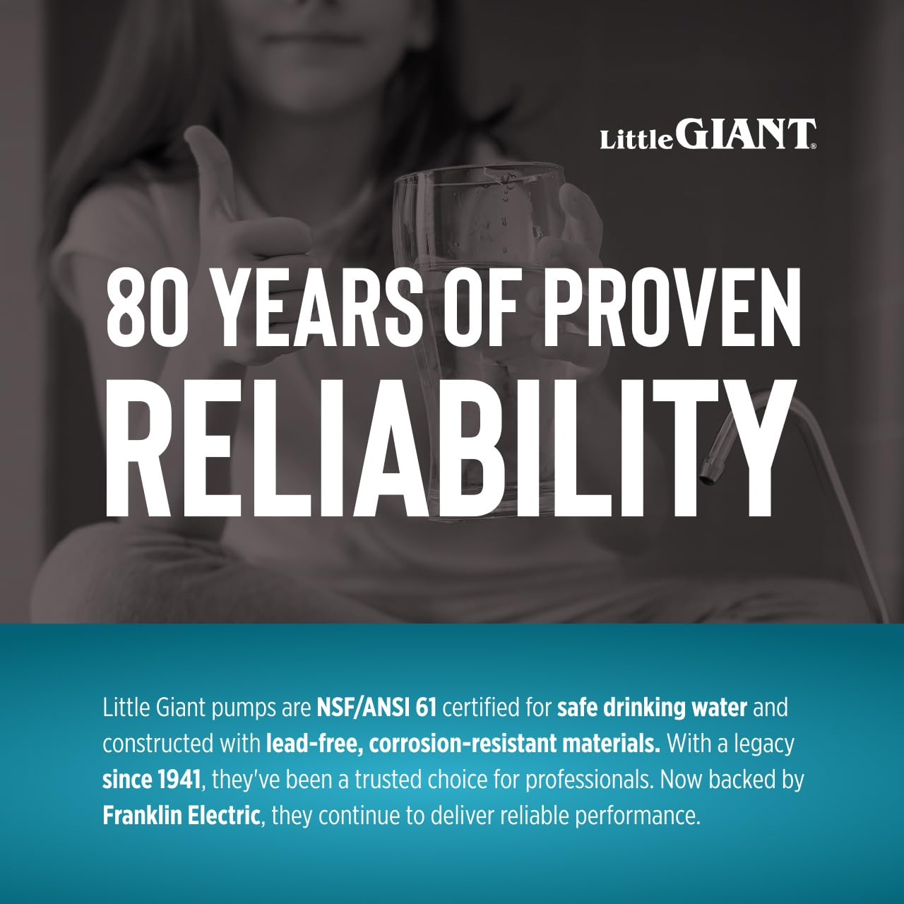 Little Giant 16G-F231-20 1 HP, 52 GPM, 1 Phase, 230 Volt, Automatic Cast Iron Submersible Grinder Pump with Piggy-back Tethered Float Switch, 20-Ft. Cord and 230 Volt Plug, Blue, 509813