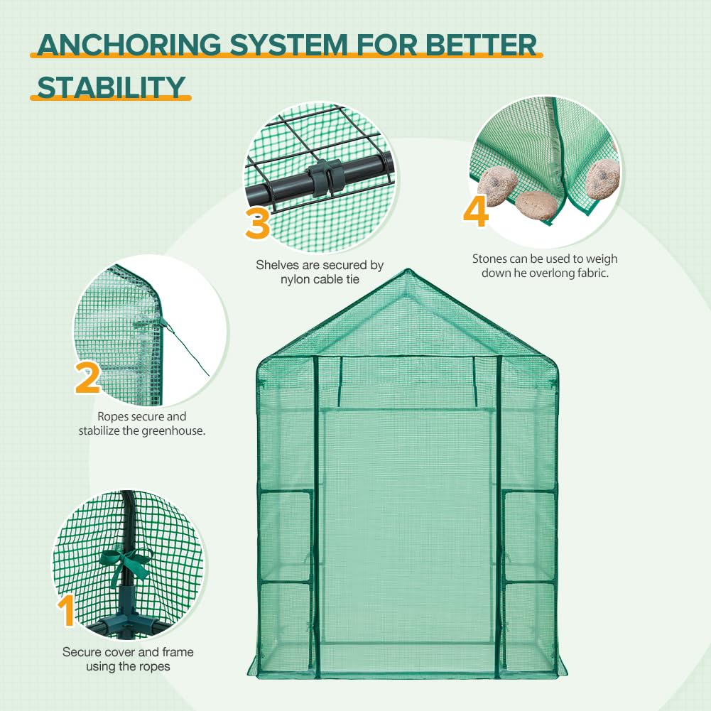 EAGLE PEAK Walk in 3-Tier Greenhouse with Wire Shelves, Portable Indoor and Outdoor Green House with Roll-Up Zippered Door & 2 Roll Up Side Windows, 4 Shelves, 61"x28"x79", Clear/Green PE Cover