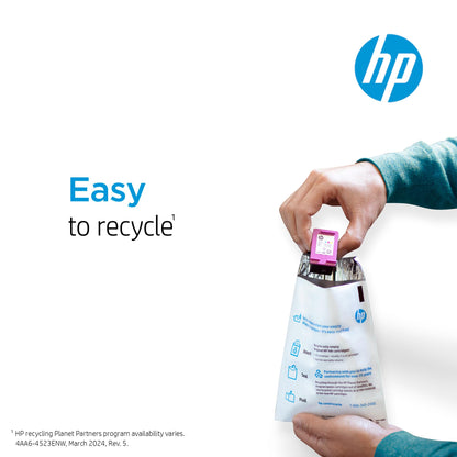 HP 910 Black Ink Cartridge for HP Printers | Works with OfficeJet 8010, 8020 Series, OfficeJet Pro 8020, 8030 Series | Eligible for Instant Ink | 3YL61AN