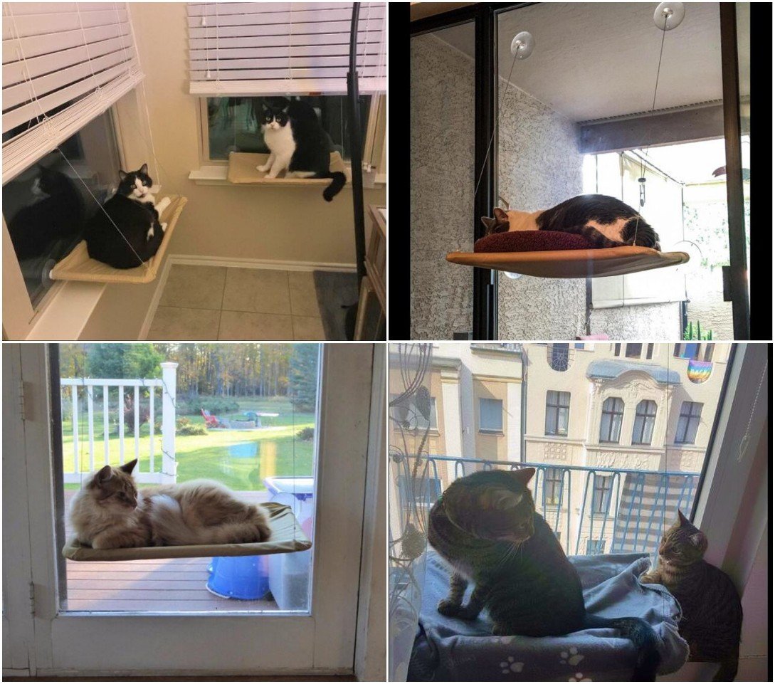 JZK Cat Window Hammock + Blanket, Suction Cup Pet Hanging Bed, Black Blanket for Cat Perch