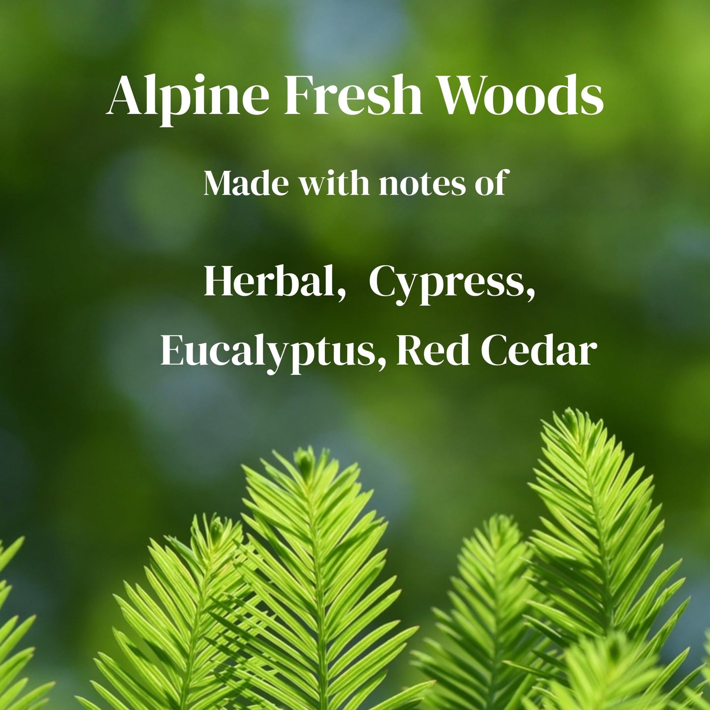 Velvet Apple Ember, Soy Wax Scented Candle, 11.5oz, 3 Wicks (Alpine Fresh Woods)