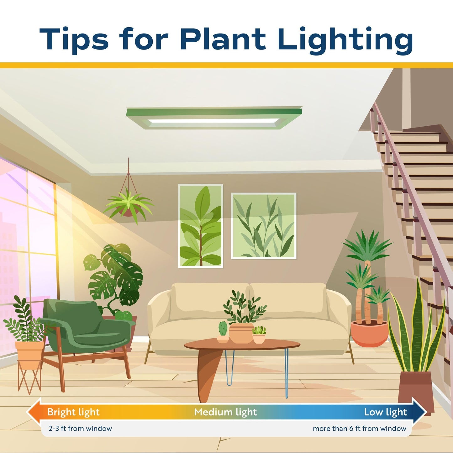 Costa Farms Baby Fiddle Leaf Fig Live Plant in Decorative Pot, Indoor Houseplant, Perfect for Home, Room, or Office Decor, Great House Warming or Birthday Gift, 12-18 Inches Tall