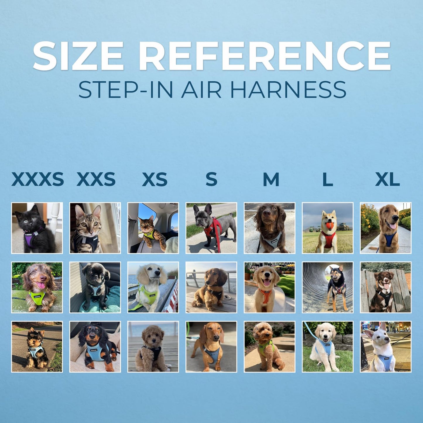 Best Pet Supplies - All Weather Mesh, Reflective, No Pull Harness for Small, Medium Dogs, Cats - Secure with Hook & Loop Fastener, Buckle, Double D-Rings - Baby Blue, M