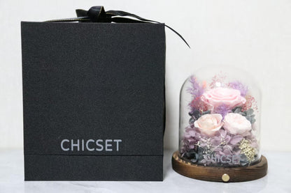 Large Preserved Flowers with Card&Box-Flowers for Delivery Prime,Eternal Rose with Lights,Roses in Glass Dome,Romantic Gift for Her,Decoration,Fresh Rose Flowers for Mom, Birthday, Anniversary (Pink)