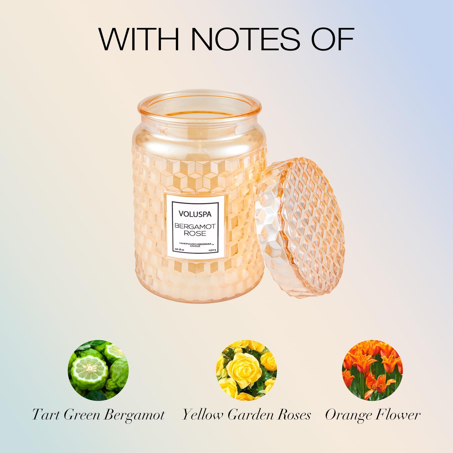 Voluspa Bergamot Rose, Large Candle Jar, 18 oz, 100 Hour Burn Time, Coconut Wax for Clean Burning, Handcrafted in the USA
