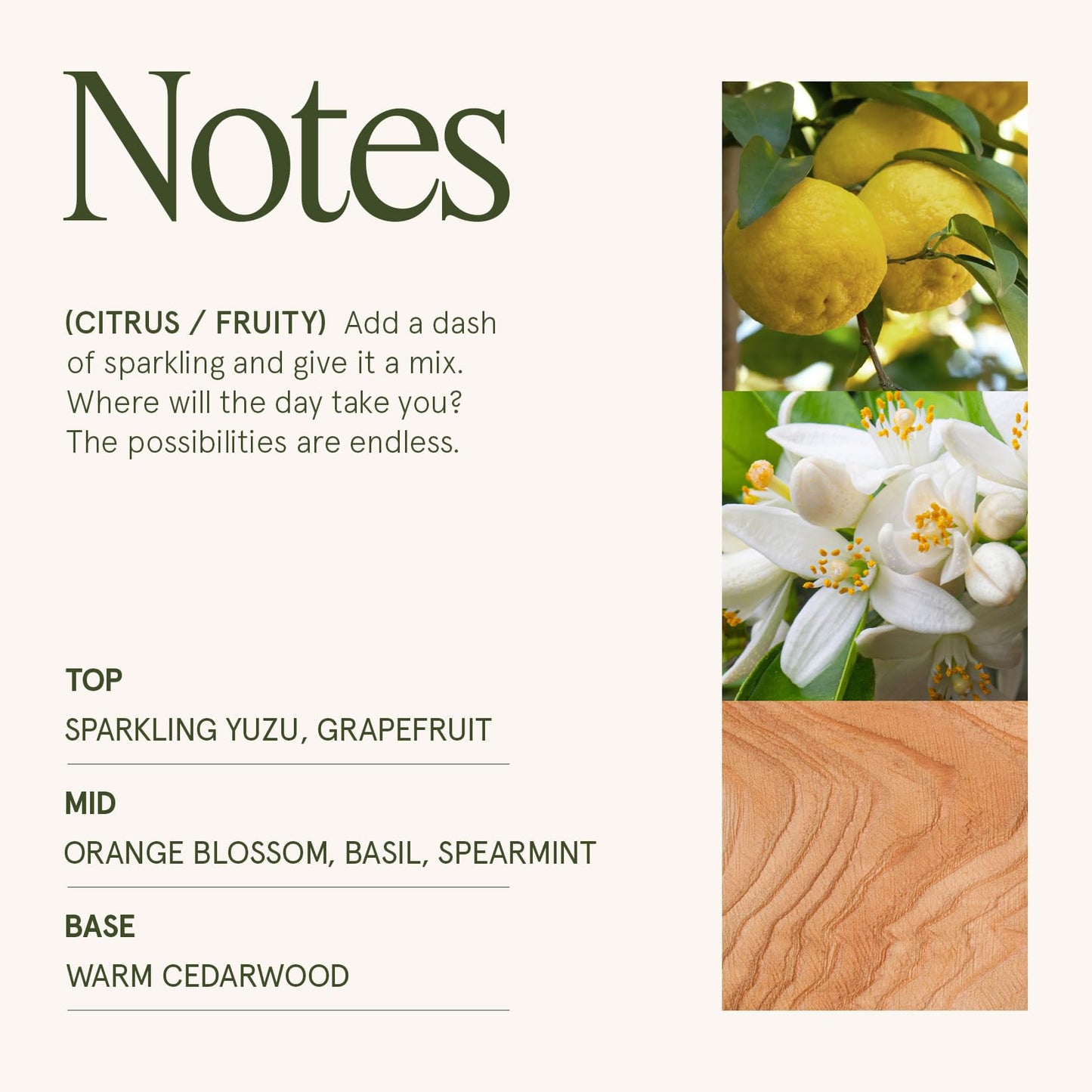 LA JOLIE MUSE Yuzu & Neroli Scented Candles for Home | Non Toxic Natural Soy | Luxury Jar Candle Gifts for Women | Citrus Orange | 40 Hrs