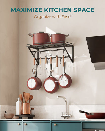 OROPY 23 Inch Wall Mounted Pot Rack Storage Shelf with 2 Tier Hanging Rails 12 S Hooks included, Ideal for Pans, Utensils, Cookware, Plant Black